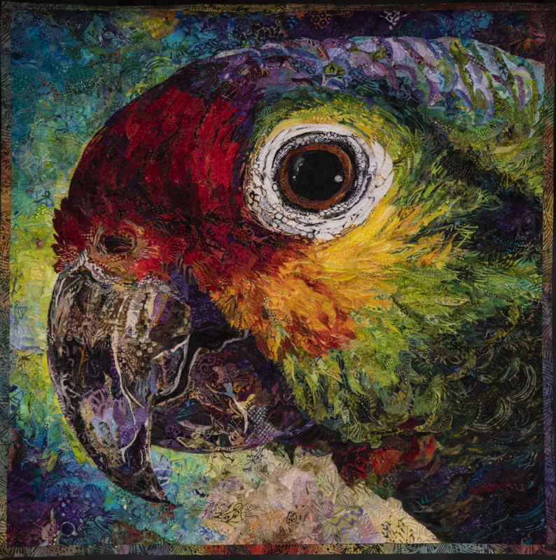 Technicolor Dream Parrot 2019 14400